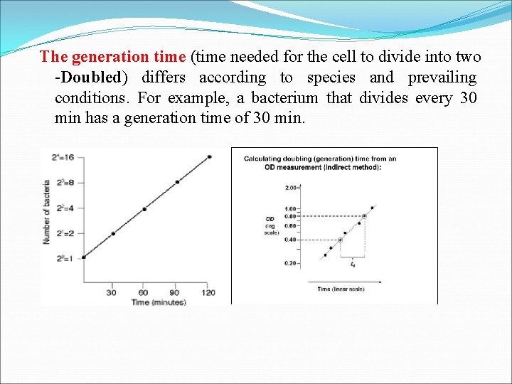 The generation time (time needed for the cell to divide into two -Doubled) differs