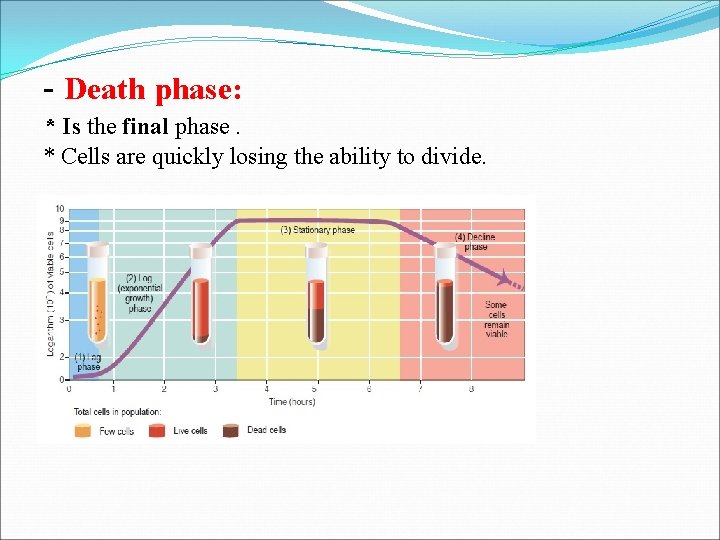 - Death phase: * Is the final phase. * Cells are quickly losing the