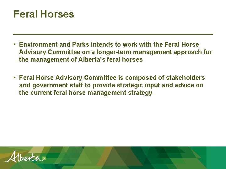 Feral Horses • Environment and Parks intends to work with the Feral Horse Advisory