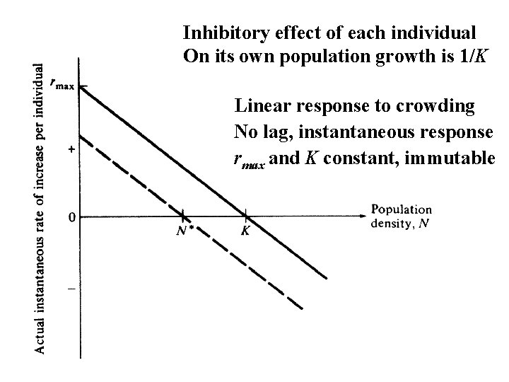 Inhibitory effect of each individual On its own population growth is 1/K Linear response