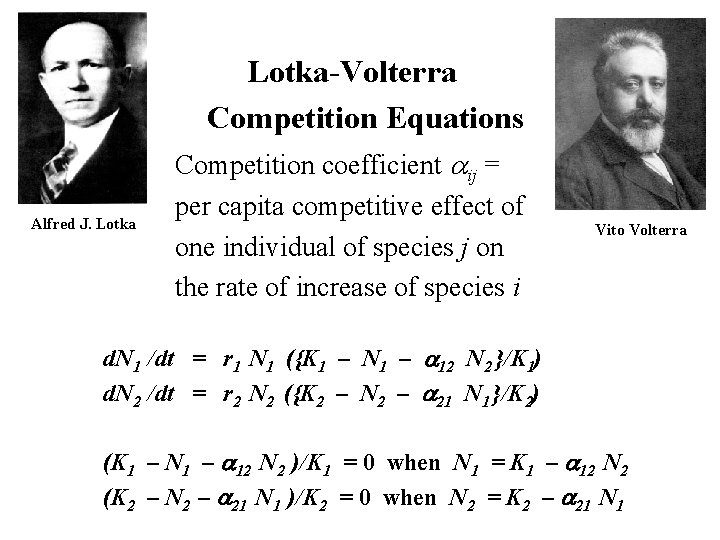 Lotka-Volterra Competition Equations Alfred J. Lotka Competition coefficient aij = per capita competitive effect