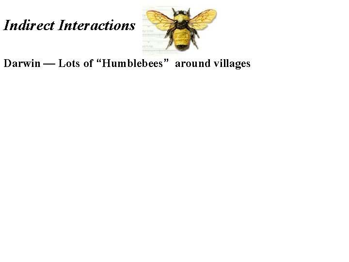 Indirect Interactions Darwin — Lots of “Humblebees” around villages 