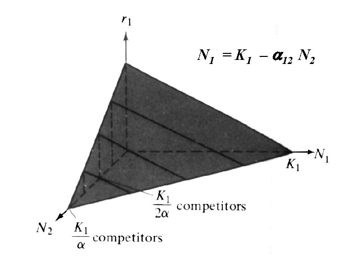 N 1 = K 1 – a 12 N 2 