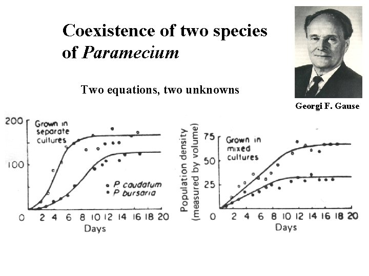 Coexistence of two species of Paramecium Two equations, two unknowns Georgi F. Gause 