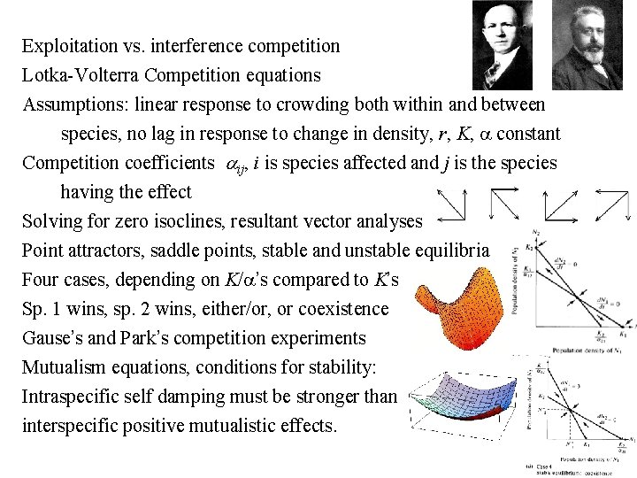 Exploitation vs. interference competition Lotka-Volterra Competition equations Assumptions: linear response to crowding both within