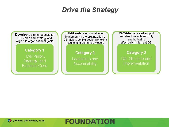 Drive the Strategy Develop a strong rationale for D&I vision and strategy and align