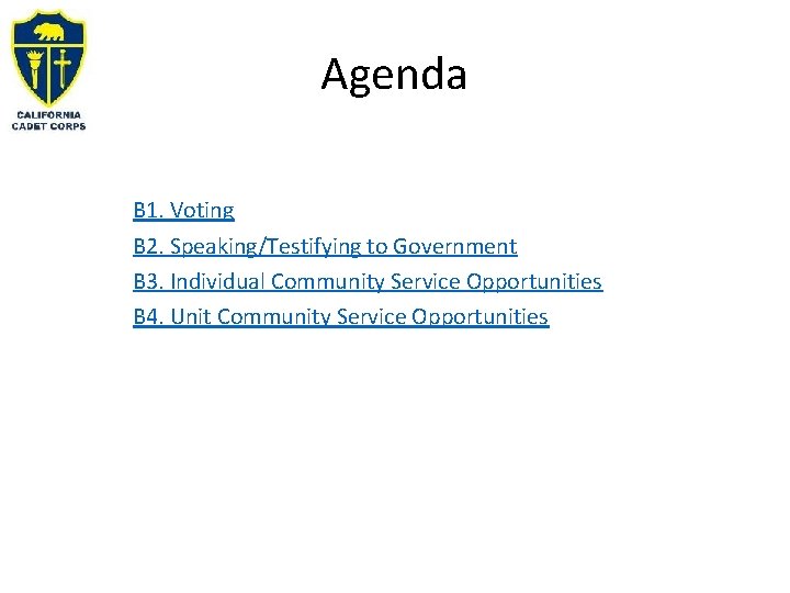 Agenda B 1. Voting B 2. Speaking/Testifying to Government B 3. Individual Community Service