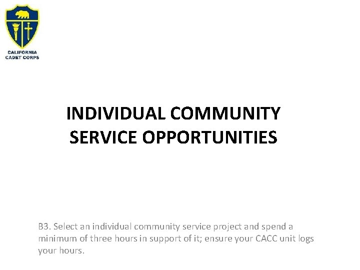 INDIVIDUAL COMMUNITY SERVICE OPPORTUNITIES B 3. Select an individual community service project and spend