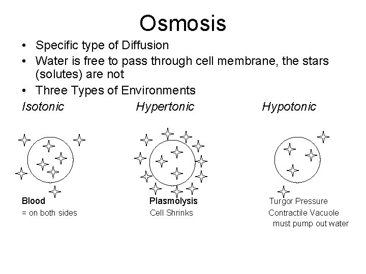 Osmosis • Specific type of Diffusion • Water is free to pass through cell