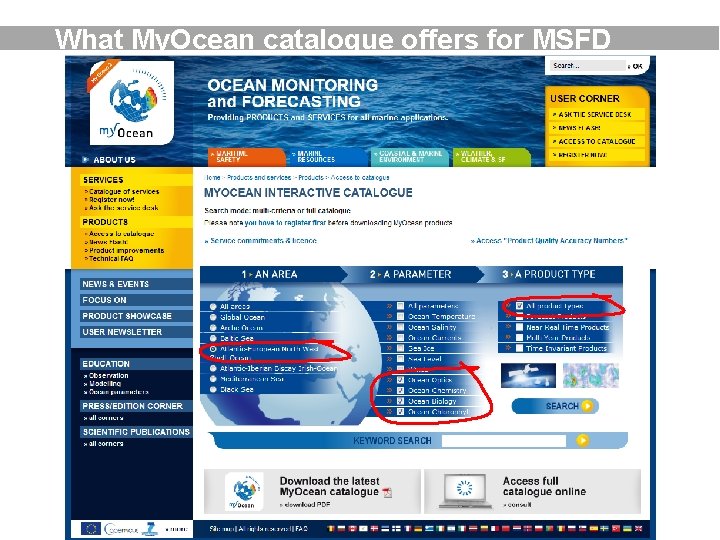 What My. Ocean catalogue offers for MSFD 