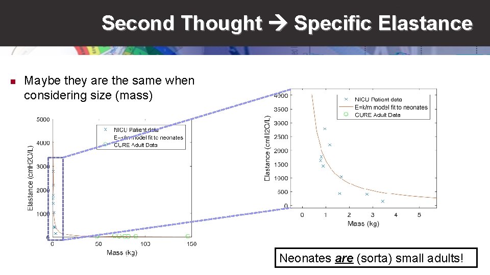 Second Thought Specific Elastance n Maybe they are the same when considering size (mass)