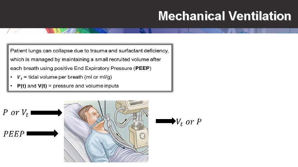 Mechanical Ventilation 