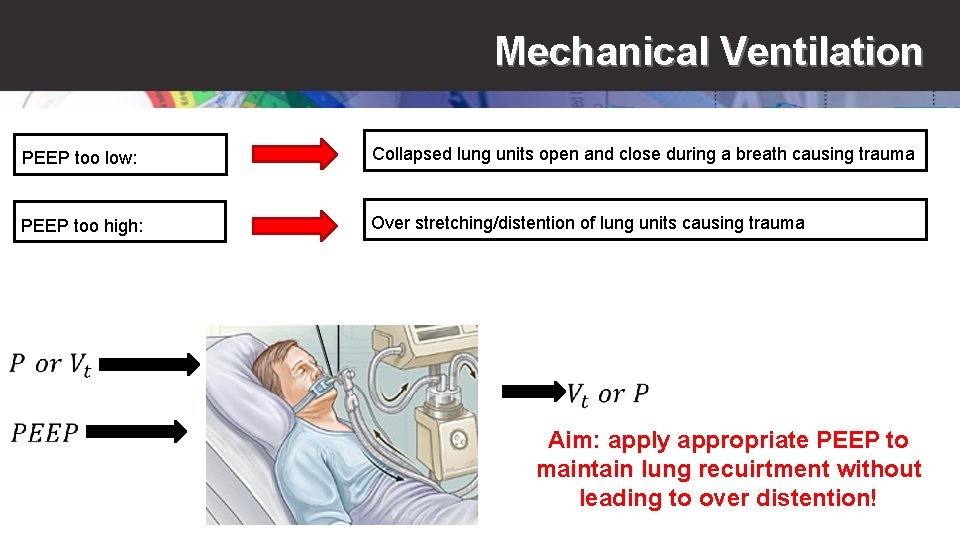 Mechanical Ventilation PEEP too low: Collapsed lung units open and close during a breath