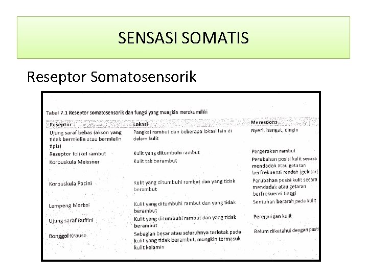 SENSASI SOMATIS Reseptor Somatosensorik 