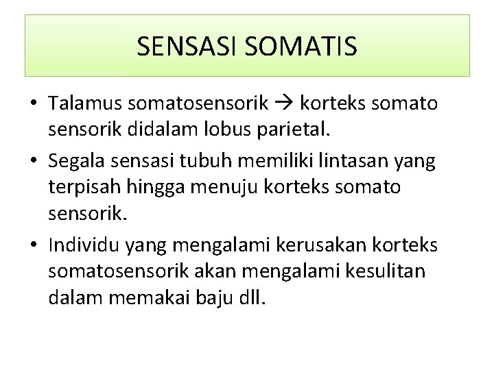 SENSASI SOMATIS • Talamus somatosensorik korteks somato sensorik didalam lobus parietal. • Segala sensasi