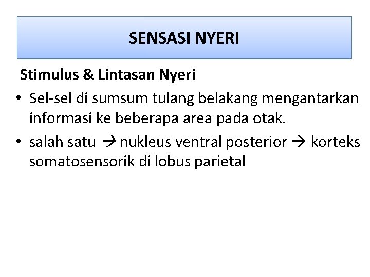 SENSASI NYERI Stimulus & Lintasan Nyeri • Sel-sel di sumsum tulang belakang mengantarkan informasi