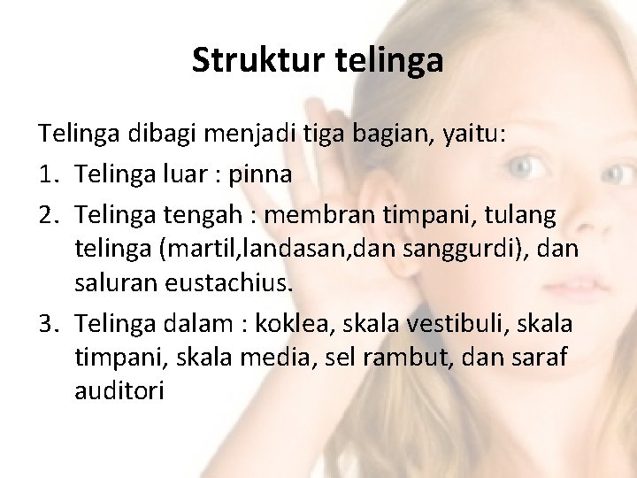 Struktur telinga Telinga dibagi menjadi tiga bagian, yaitu: 1. Telinga luar : pinna 2.