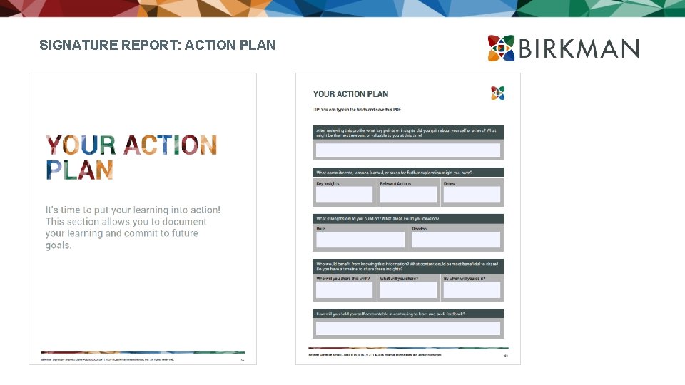 SIGNATURE REPORT: ACTION PLAN 