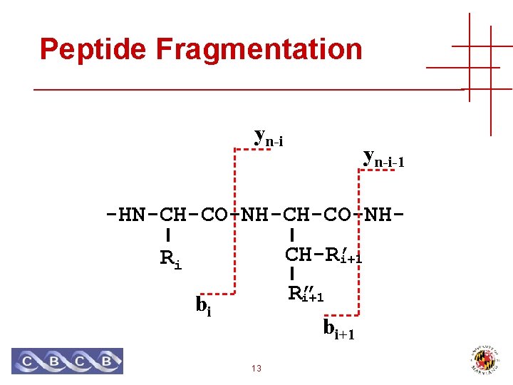Statistical Significance for Peptide Identification by Tandem Mass