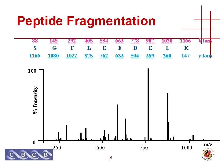 Peptide Fragmentation 88 S 1166 145 G 1080 292 F 1022 405 L 875