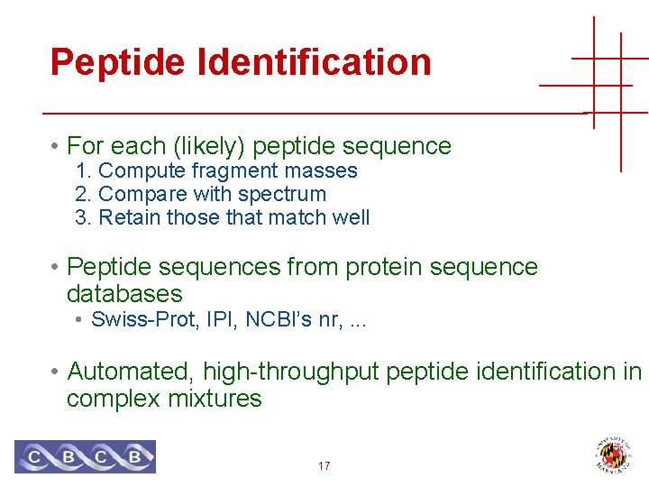 Peptide Identification • For each (likely) peptide sequence 1. Compute fragment masses 2. Compare