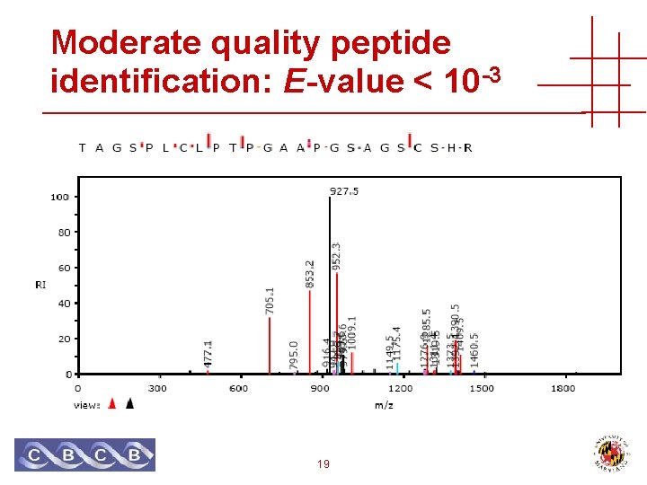 Moderate quality peptide identification: E-value < 10 -3 19 