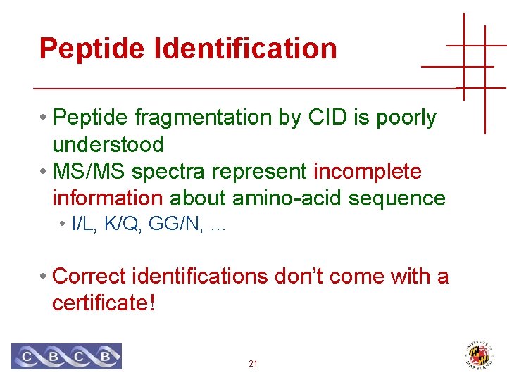 Peptide Identification • Peptide fragmentation by CID is poorly understood • MS/MS spectra represent