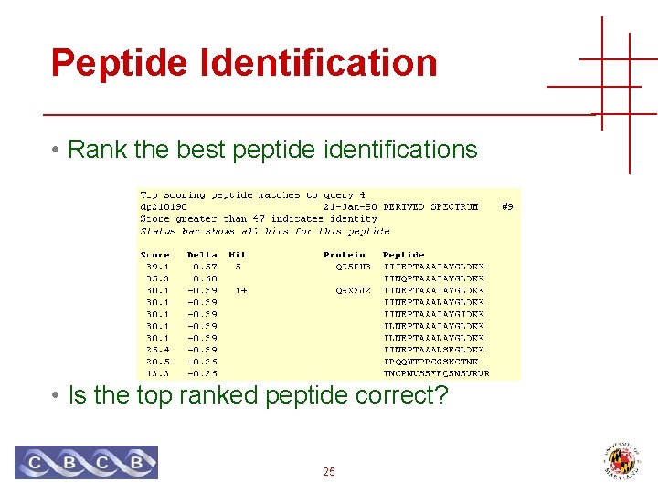 Peptide Identification • Rank the best peptide identifications • Is the top ranked peptide