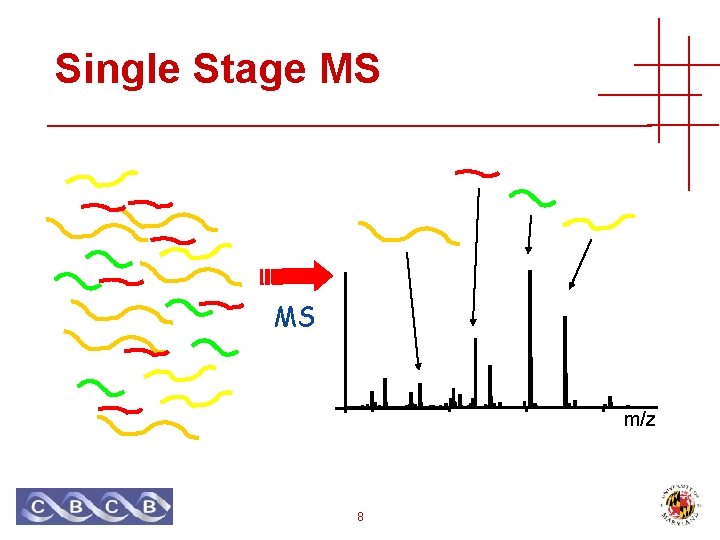 Single Stage MS MS m/z 8 