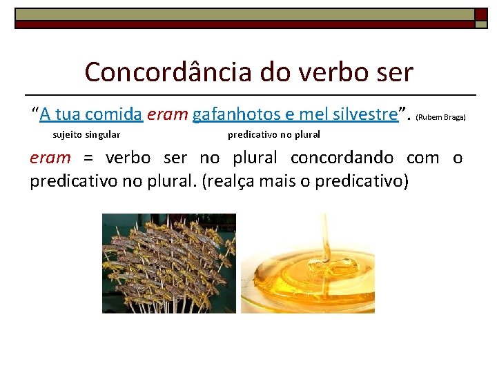 Concordância do verbo ser “A tua comida eram gafanhotos e mel silvestre”. (Rubem Braga)