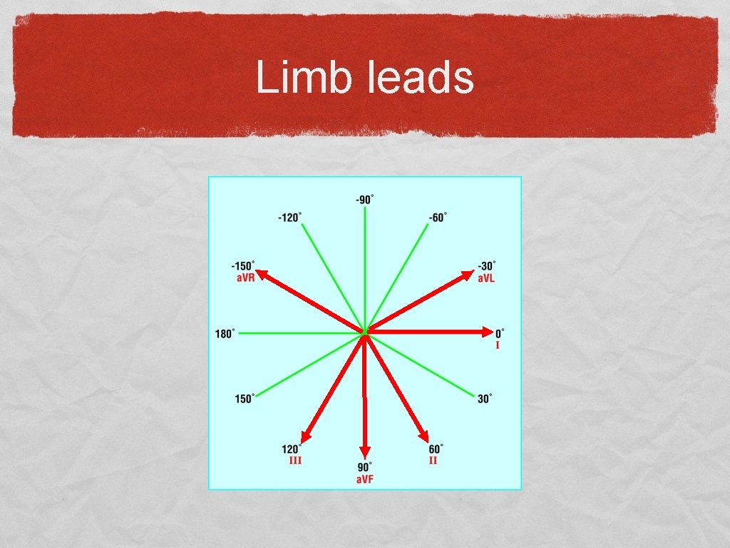 Limb leads 