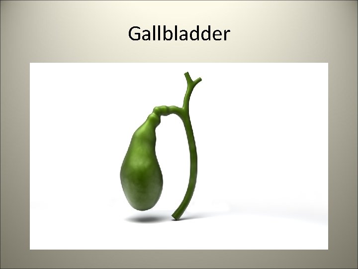 Gallbladder 