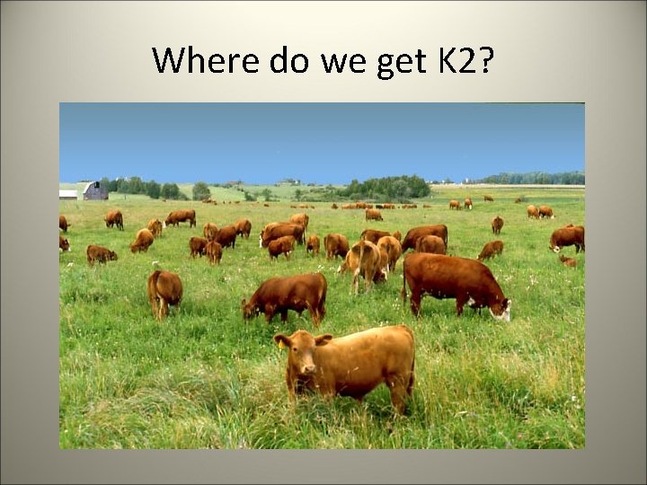 Where do we get K 2? 