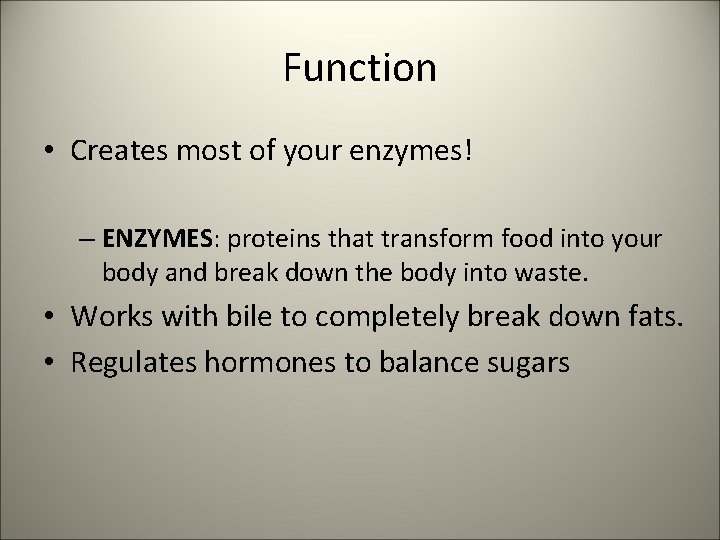 Function • Creates most of your enzymes! – ENZYMES: proteins that transform food into