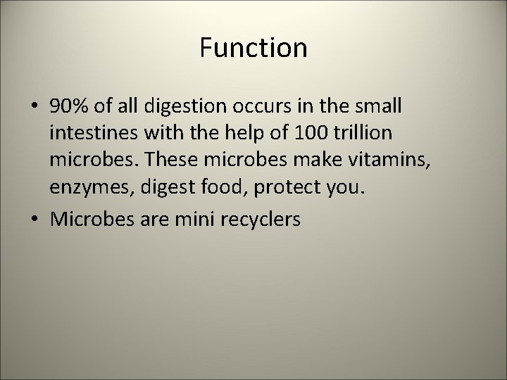 Function • 90% of all digestion occurs in the small intestines with the help