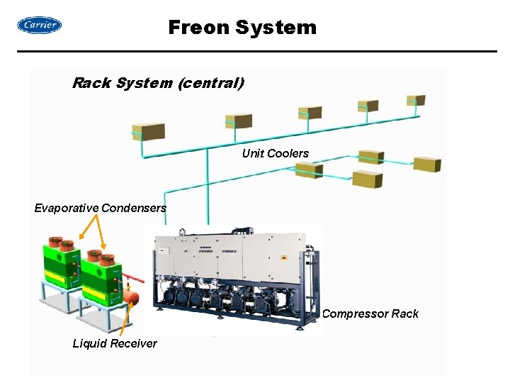Freon System Rack System (central) Unit Coolers Evaporative Condensers MCC Compressor Rack Liquid Receiver