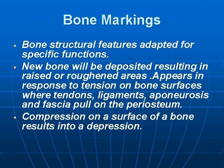 Bone Markings § § § Bone structural features adapted for specific functions. New bone