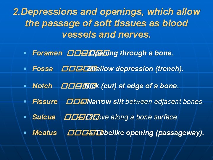 2. Depressions and openings, which allow the passage of soft tissues as blood vessels