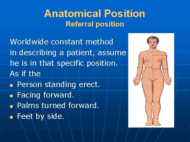 Anatomical Position Referral position Worldwide constant method in describing a patient, assume he is