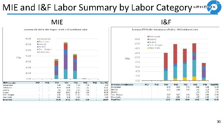 MIE and I&F Labor Summary by Labor Category MIE I&F 30 