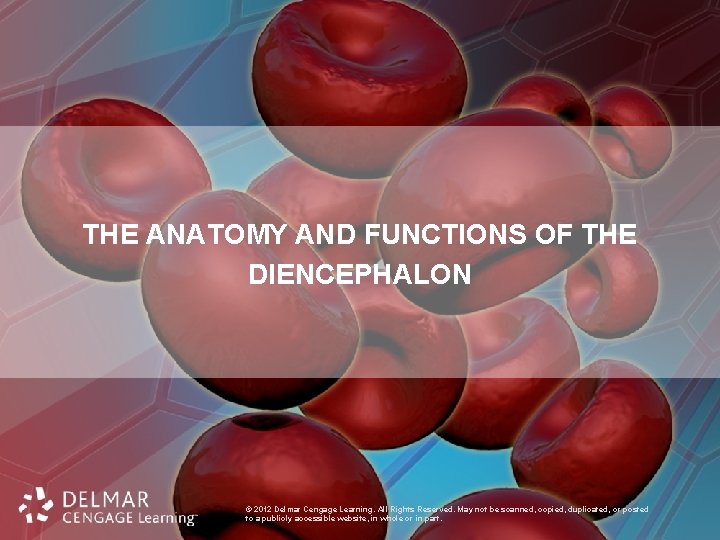 THE ANATOMY AND FUNCTIONS OF THE DIENCEPHALON © 2012 Delmar Cengage Learning. All Rights
