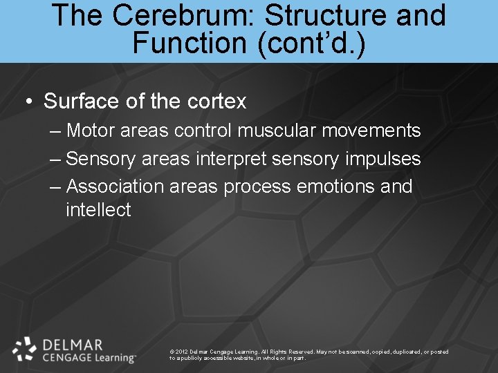 The Cerebrum: Structure and Function (cont’d. ) • Surface of the cortex – Motor