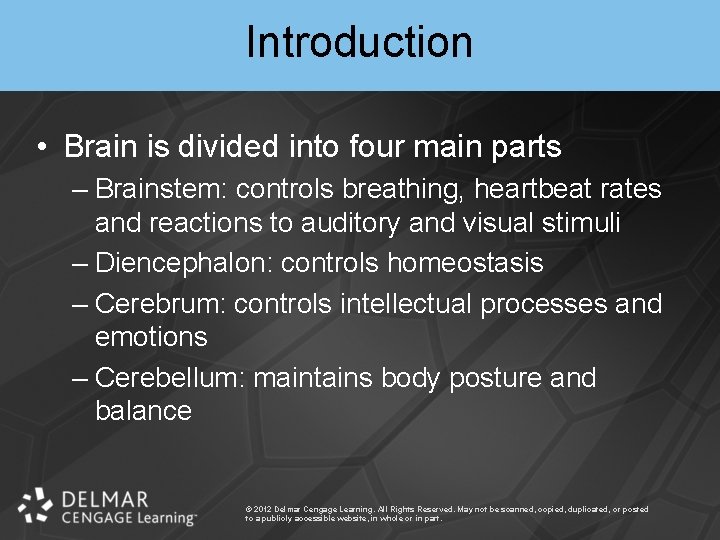 Introduction • Brain is divided into four main parts – Brainstem: controls breathing, heartbeat