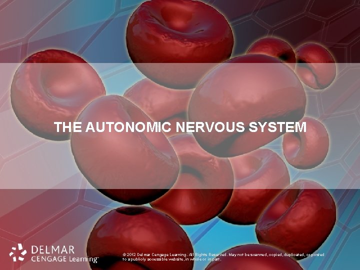 THE AUTONOMIC NERVOUS SYSTEM © 2012 Delmar Cengage Learning. All Rights Reserved. May not