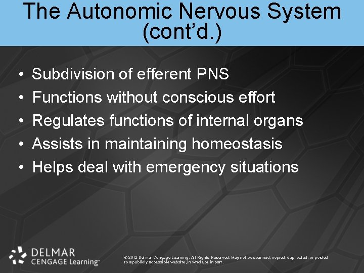 The Autonomic Nervous System (cont’d. ) • • • Subdivision of efferent PNS Functions