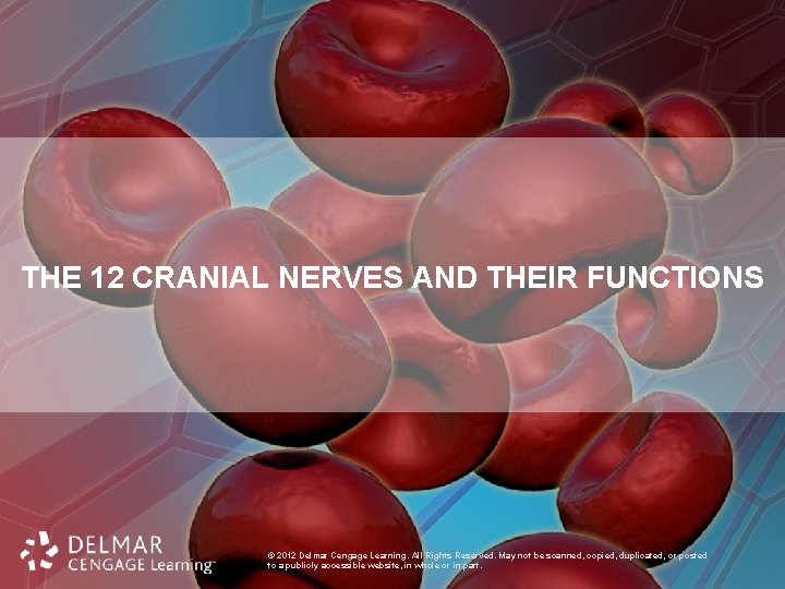 THE 12 CRANIAL NERVES AND THEIR FUNCTIONS © 2012 Delmar Cengage Learning. All Rights