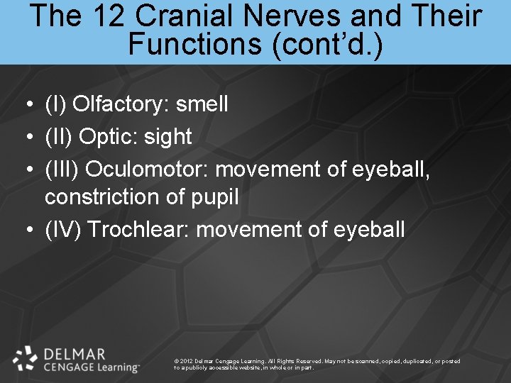 The 12 Cranial Nerves and Their Functions (cont’d. ) • (I) Olfactory: smell •