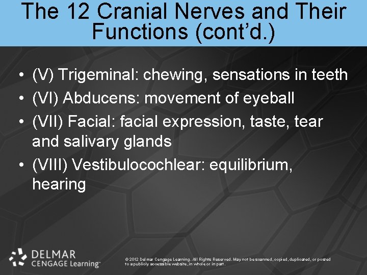 The 12 Cranial Nerves and Their Functions (cont’d. ) • (V) Trigeminal: chewing, sensations