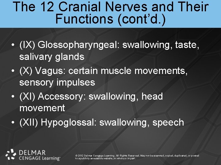 The 12 Cranial Nerves and Their Functions (cont’d. ) • (IX) Glossopharyngeal: swallowing, taste,