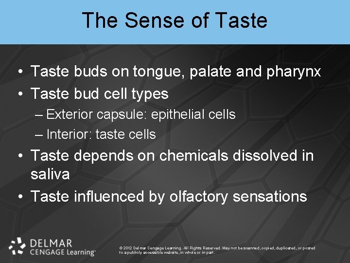 The Sense of Taste • Taste buds on tongue, palate and pharynx • Taste